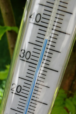 Thermometer & Thermostat: Temperatur im Terrarium überwachen
